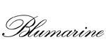Солнцезащитные очки и оправы BLUMARINE купить онлайн с быстрой доставкой по России