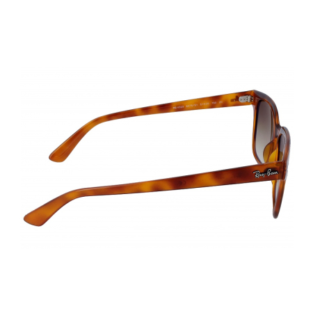 Солнцезащитные очки унисекс RAY-BAN 4324 6475/51 | Оригинальные модные солнцезащитные очки унисекс RAY-BAN | Солнцезащитные очки унисекс Ray-Ban 4324 6475/51 купить онлайн с быстрой доставкой по России