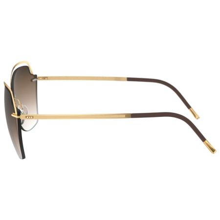 Женские солнцезащитные очки SILHOUETTE Golden Gate 8169 75 7520 | Оригинальные модные женские солнцезащитные очки SILHOUETTE | Женские солнцезащитные очки Silhouette Golden Gate 8169 75 7520 купить онлайн с быстрой доставкой по России