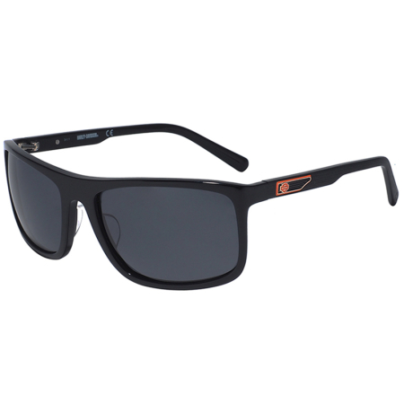 Мужские солнцезащитные очки HARLEY-DAVIDSON 0956X 01D | Оригинальные модные мужские солнцезащитные очки HARLEY-DAVIDSON | Мужские солнцезащитные очки Harley-Davidson 0956X 01D купить онлайн с быстрой доставкой по России